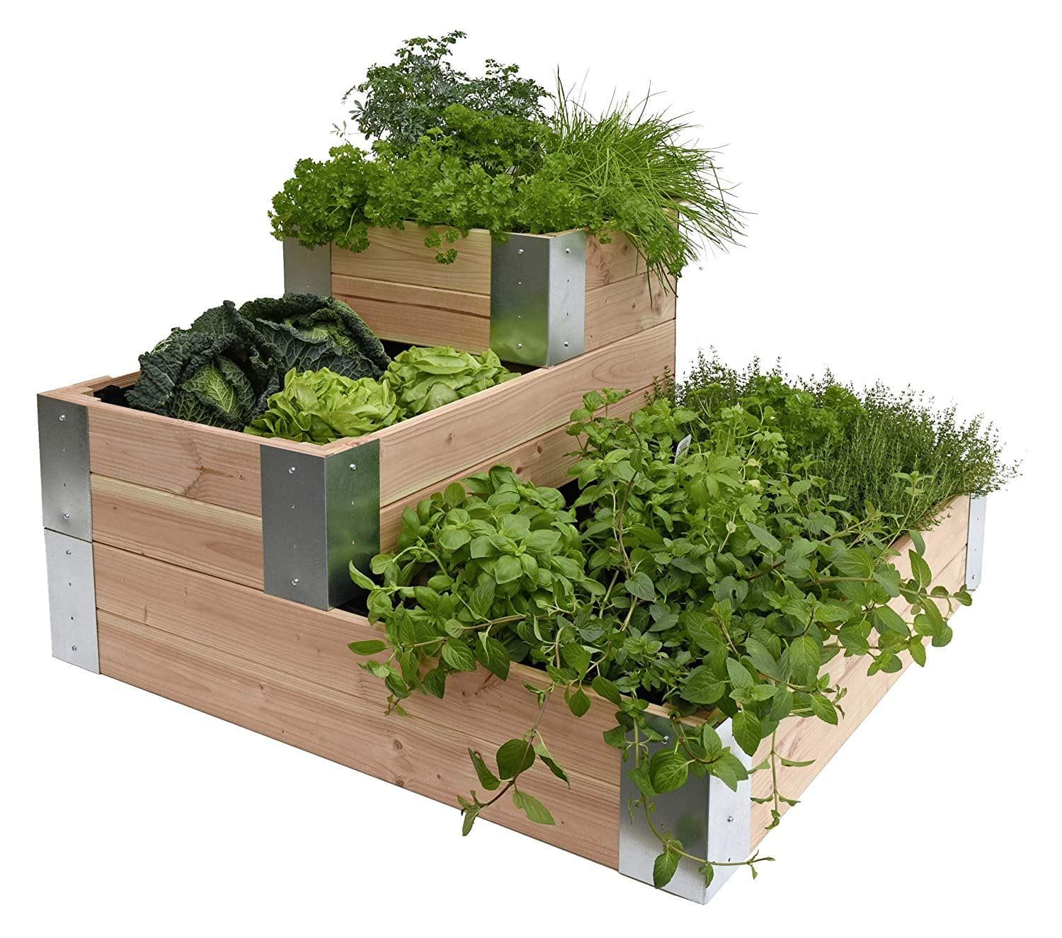Carré potager en appartement : 7 étapes pour réussir