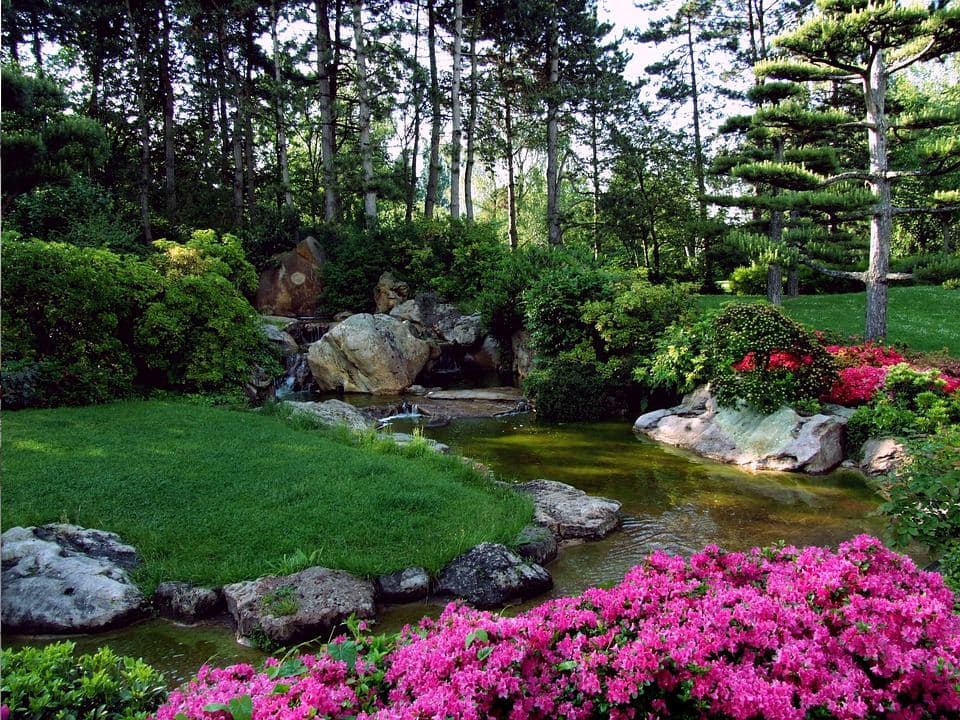 Jardin miniature japonais : créez le vôtre étape par étape