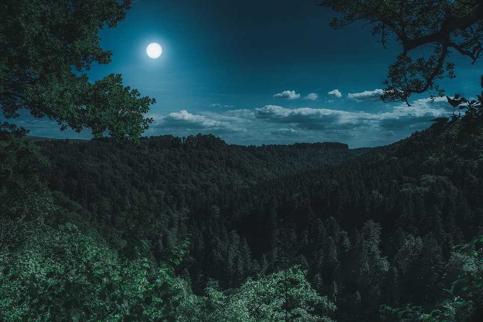 Jardiner avec la lune : mythe ou réalité scientifique ?