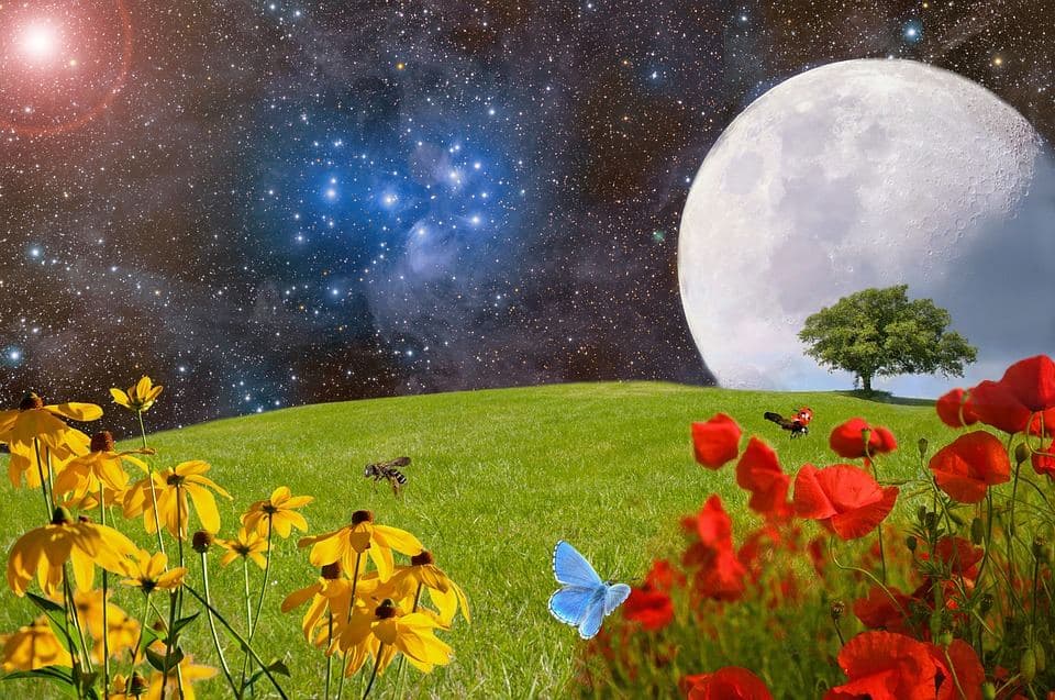 Lune et agriculture : mythe ou réalité prouvée ?