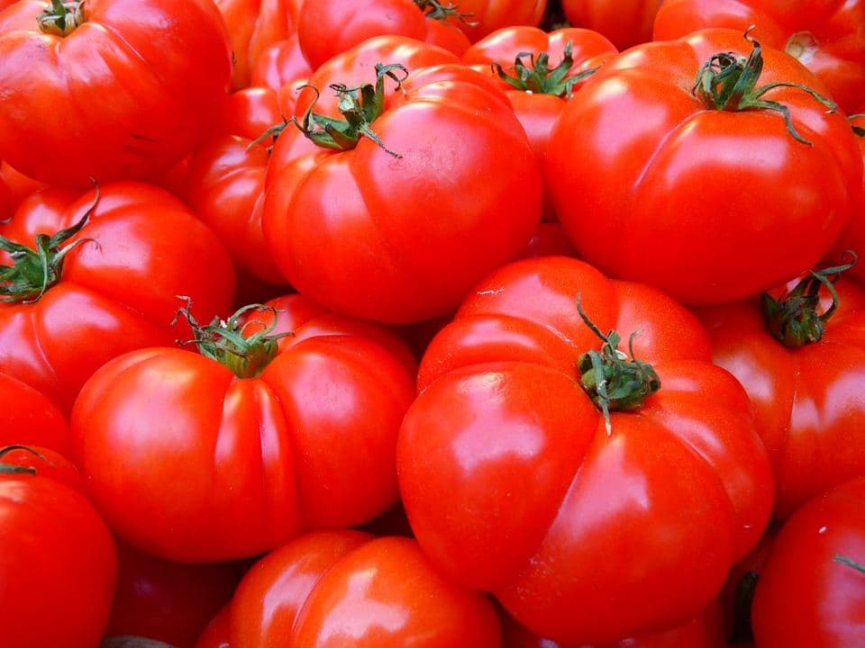 Coulis de tomate maison en 40 min : recette inratable