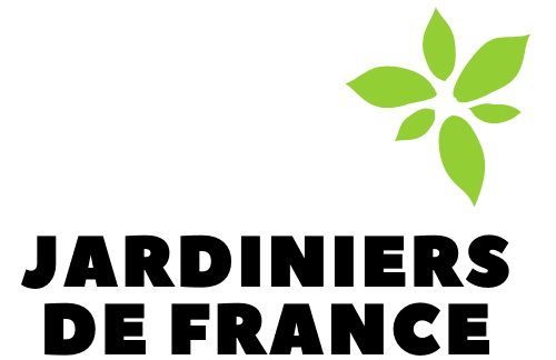 Salades iceberg : le guide complet (caractéristiques & conseils)