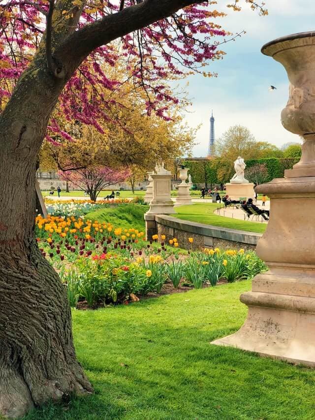 Cétoine dorée : ami ou ennemi de votre jardin ?
