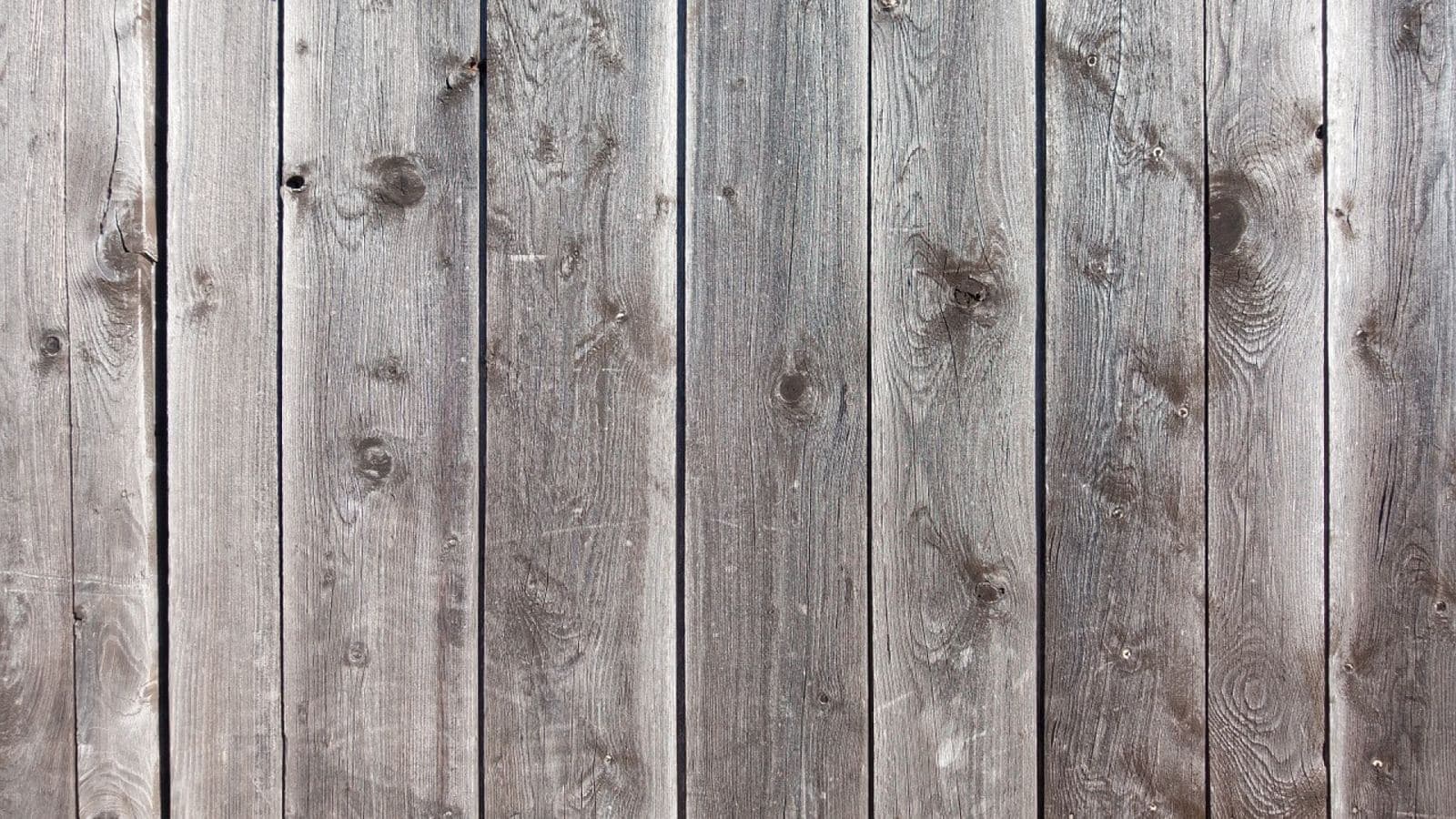 Brise-vue en bois : quel modèle choisir pour votre jardin ?