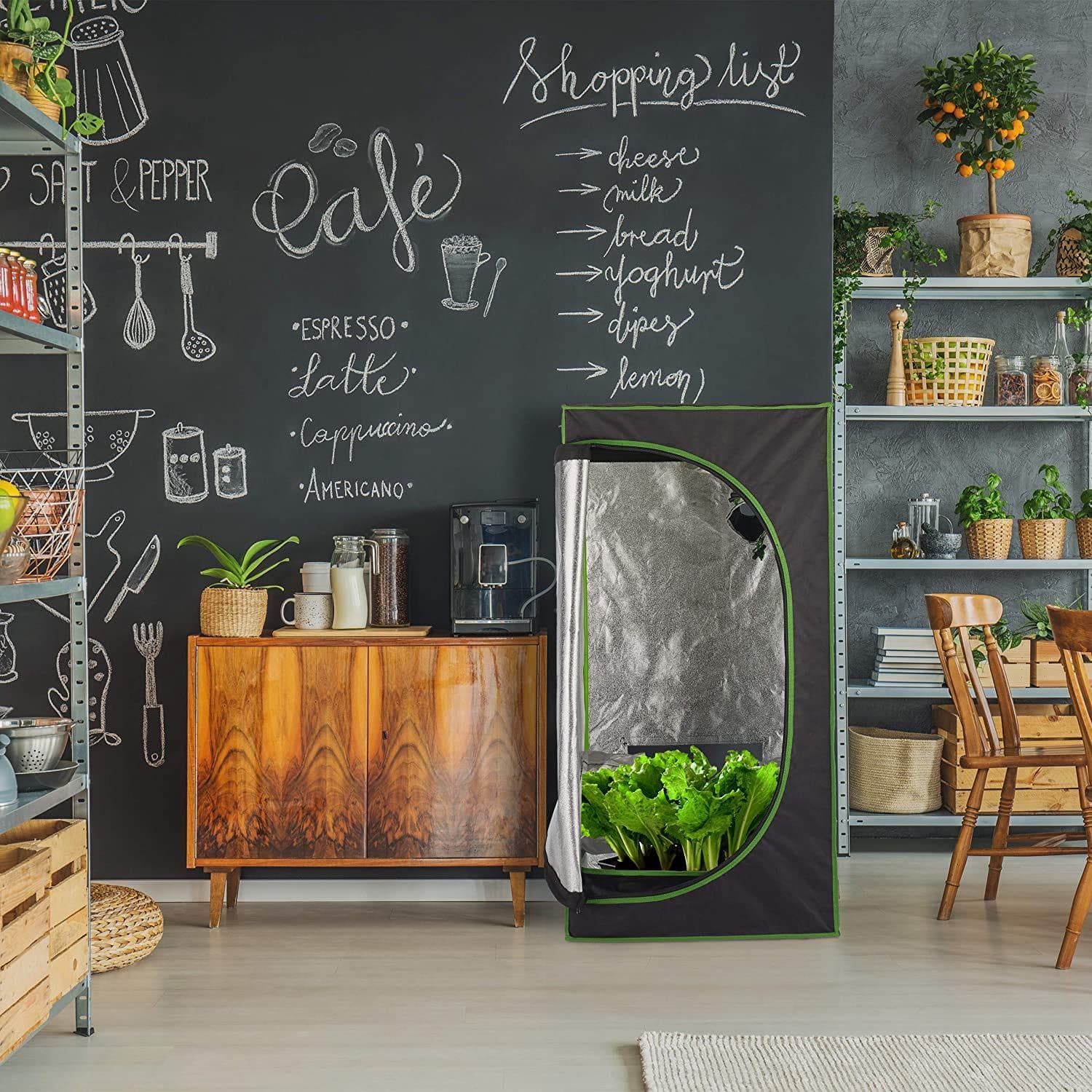 Chambre de culture : top modèles testés pour des récoltes