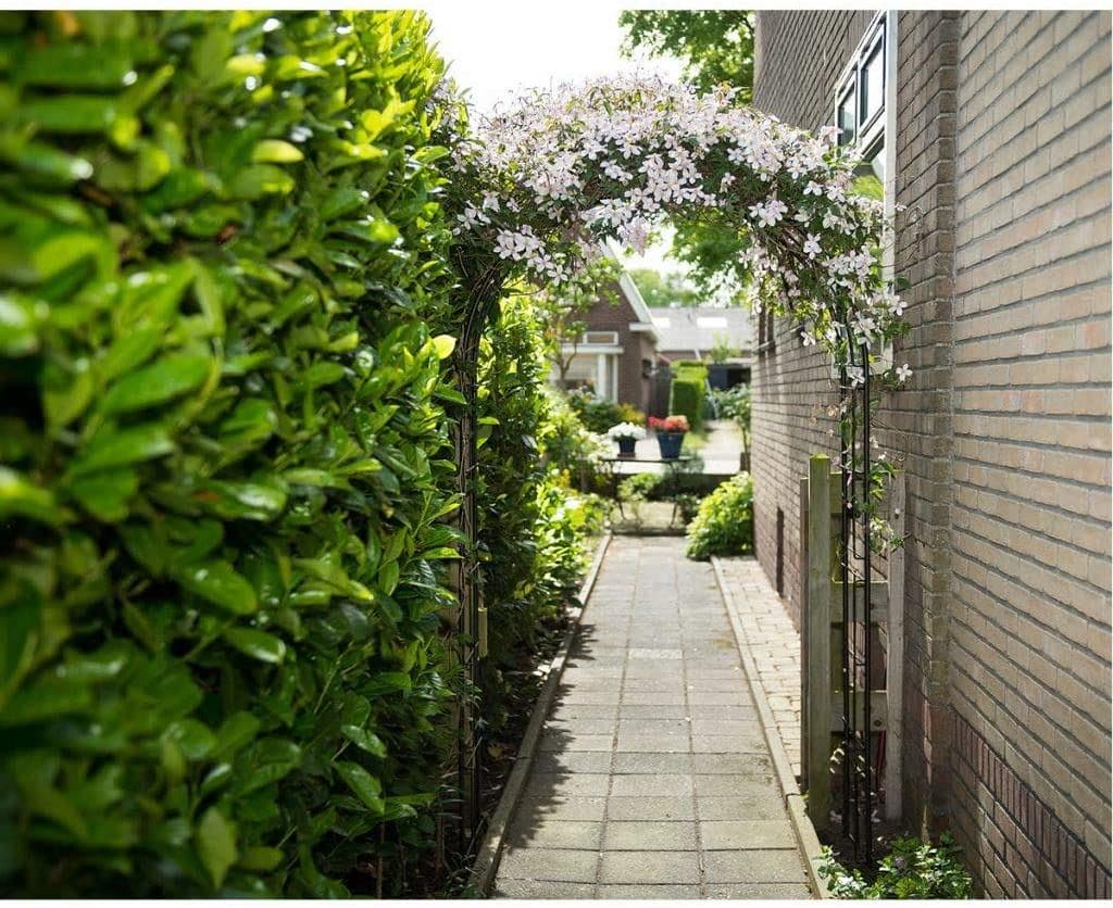 Pergola acier adossée : meilleurs modèles 2026