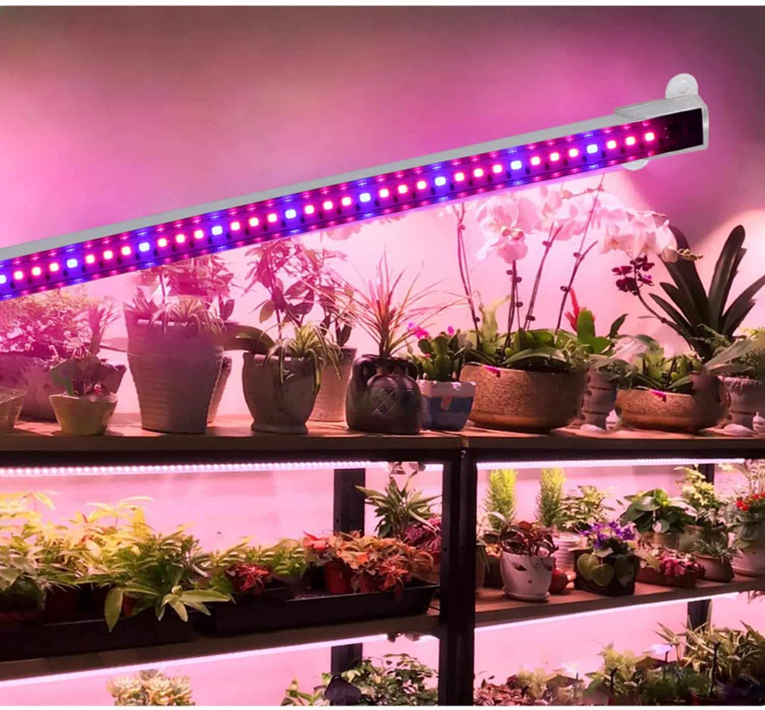 Lampe horticole : Test du Meilleur Produit, Guide et Avis