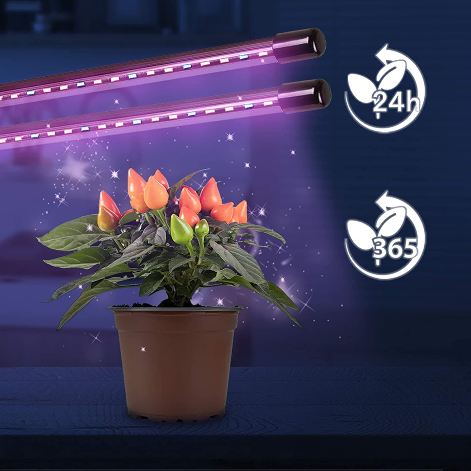 Lampe LED culture indoor : top modèles 2026 pour semis