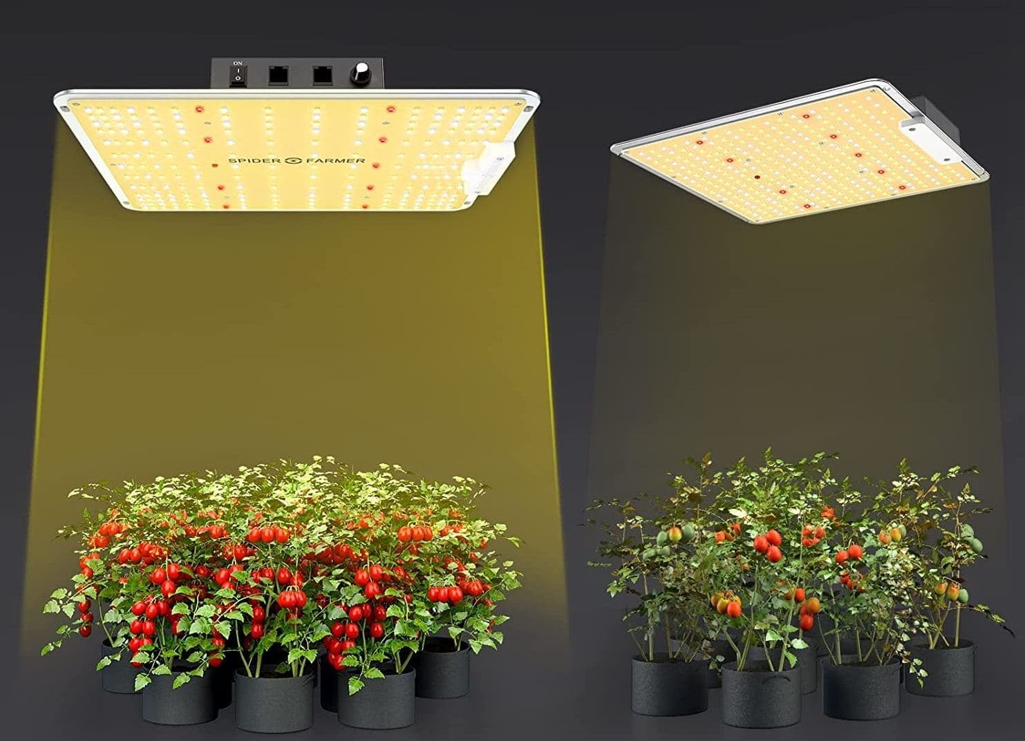 Panneau led culture indoor