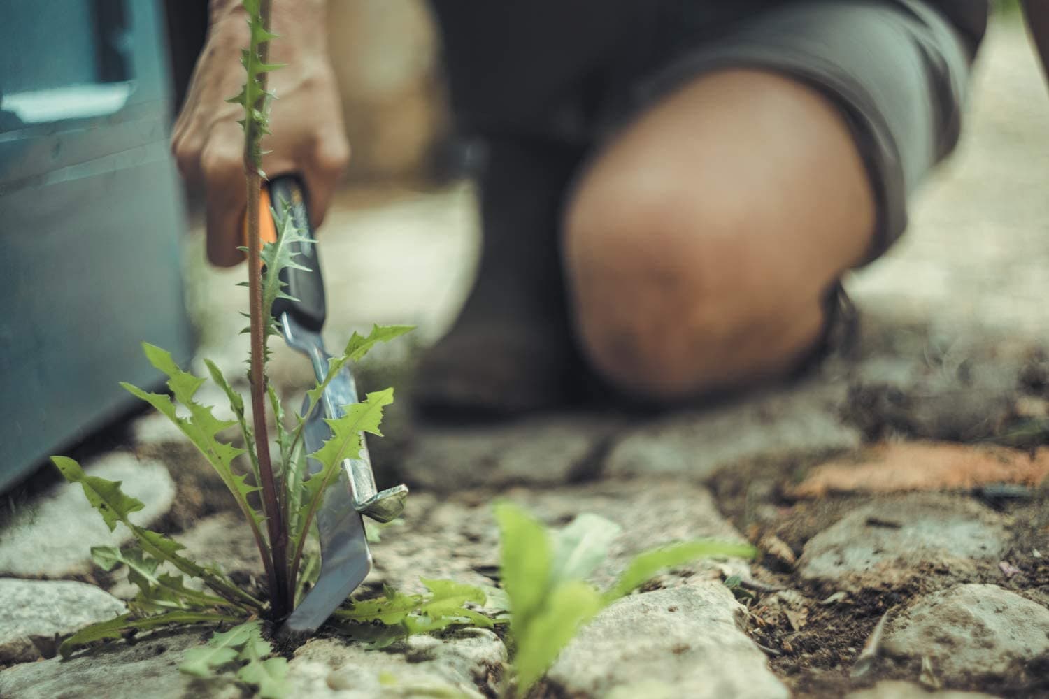 Serpette de jardin 2026 : le bon modèle selon vos coupes