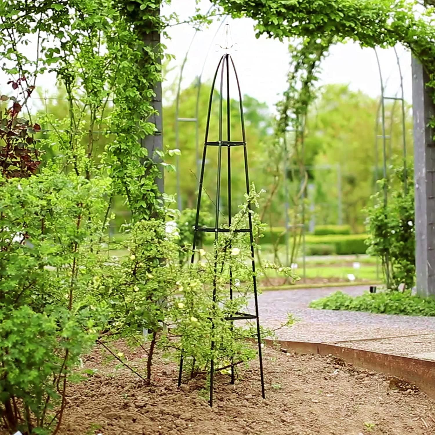 Support plante grimpante : Test du meilleur trellis, guide