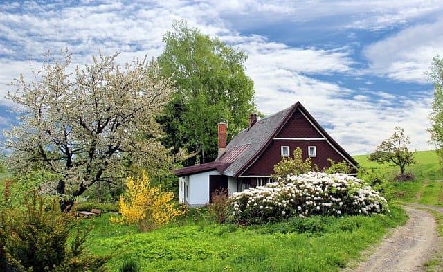 Abri de jardin 2026 : quel modèle choisir pour durer 20 ans