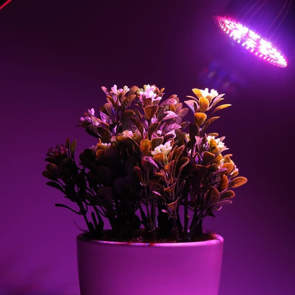 Lampe LED horticole 2026 : la meilleure après 8 tests réels