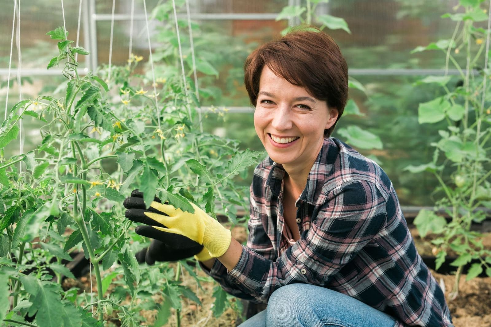 Comment bien faire ses semis et plantations : les bases
