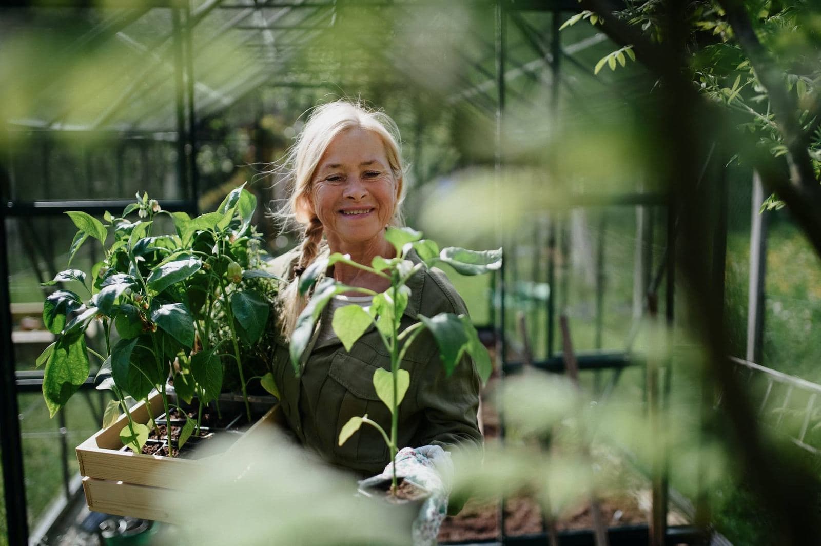 Pothos : cultiver et entretenir cette plante d'intérieur