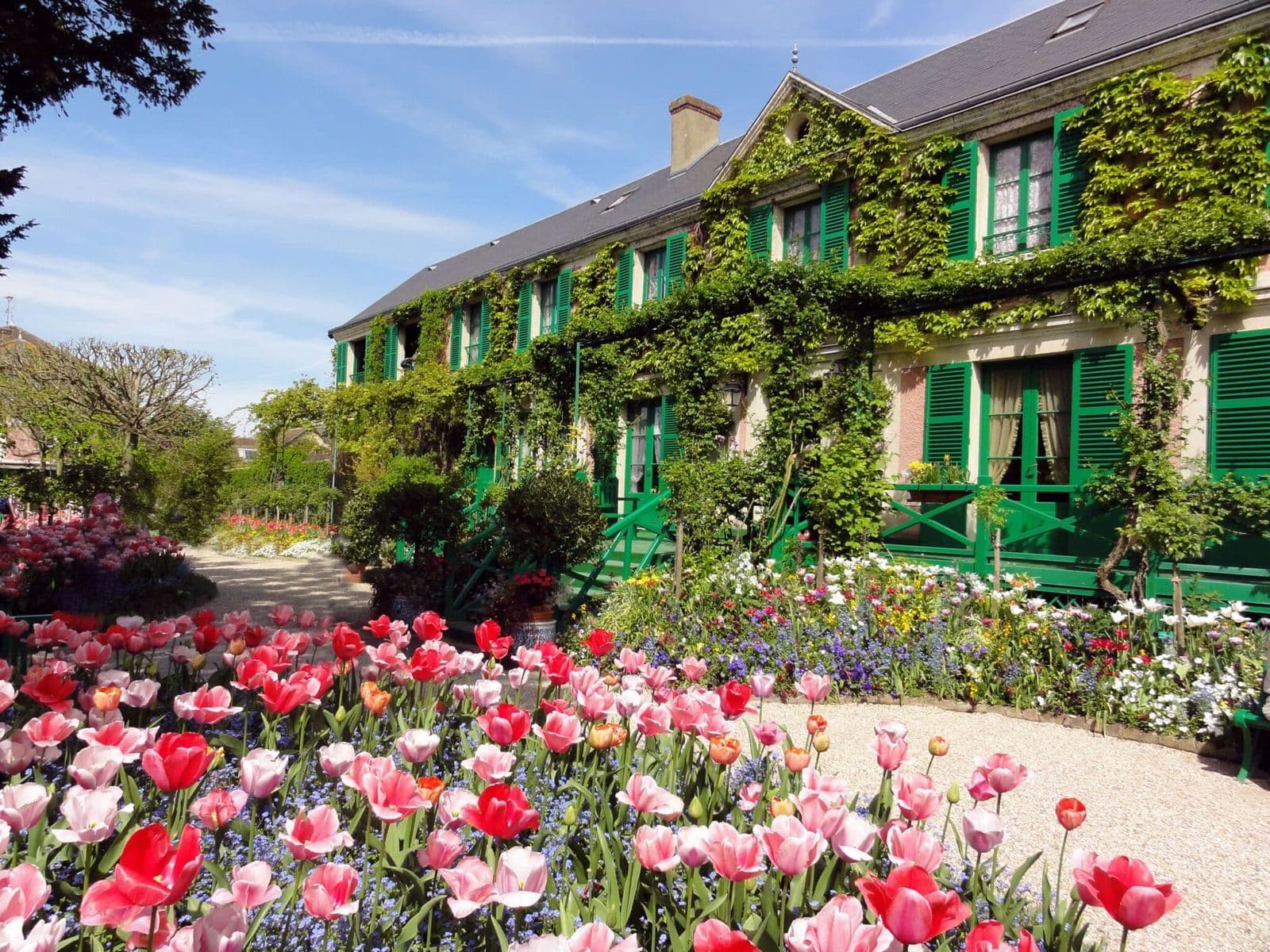 🖌️ Créez un jardin fleuri inspiré de celui de Claude Monet