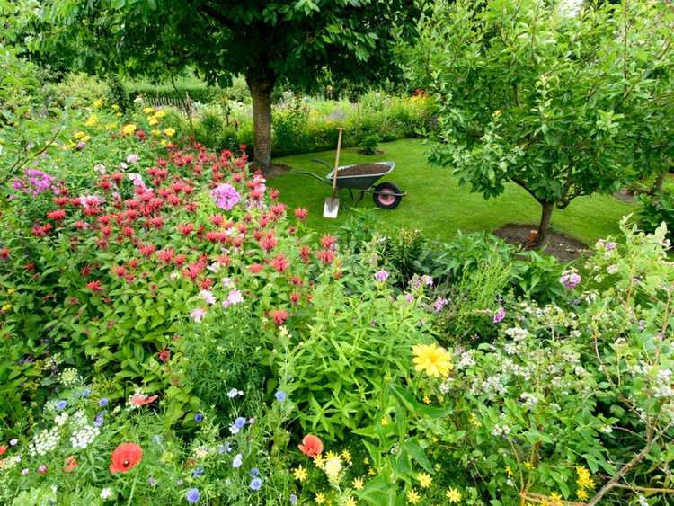 Oiseaux du jardin : identifier et attirer 20 espèces