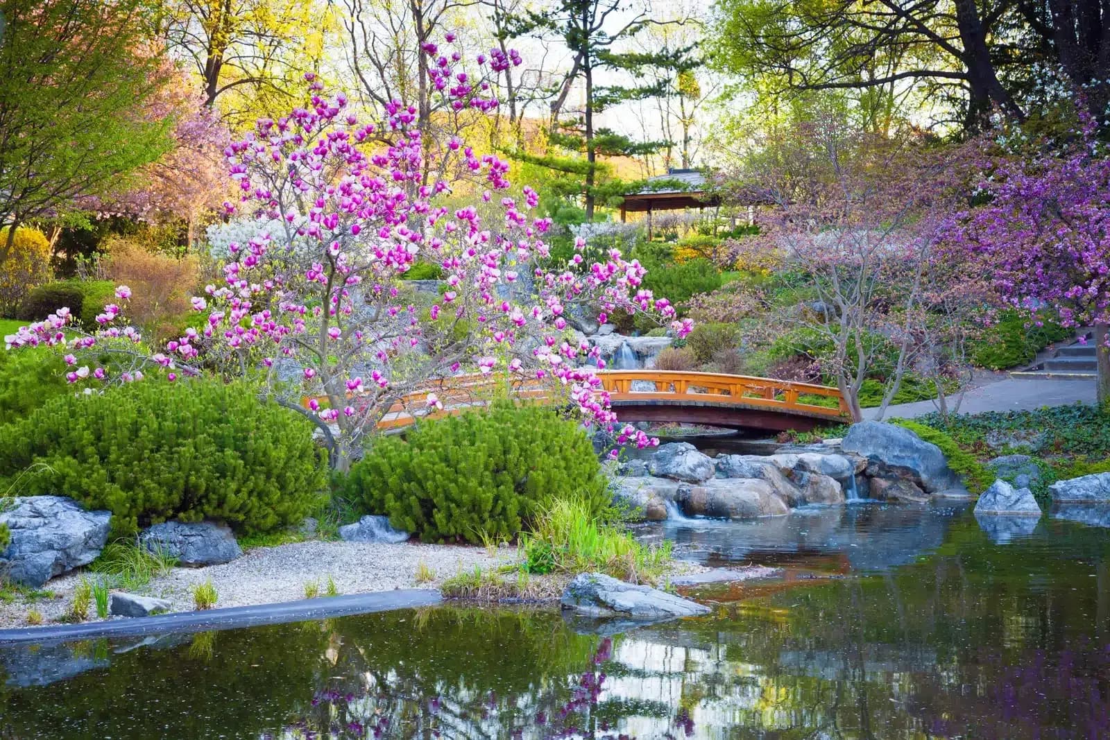 Jardin japonais : principes, plantes et aménagement