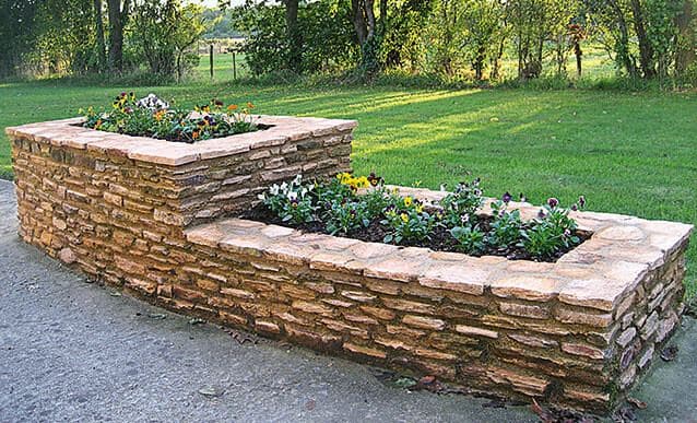 Calibrachoa : plantation, entretien et floraison