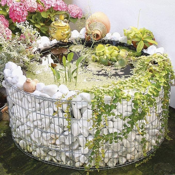 Fleurs de saison : quoi planter mois par mois