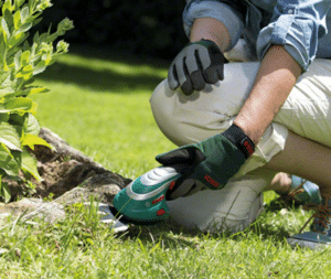 Meilleures marques de jardin