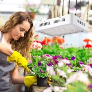 Lampe led horticole