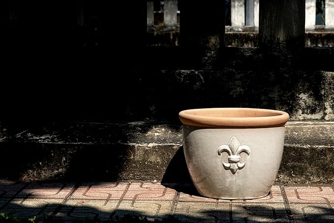 pot pot