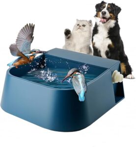 chien 4