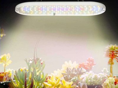 Panneau led culture