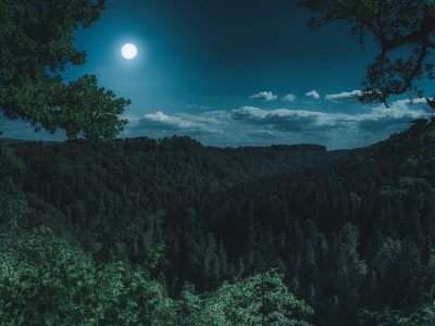 nature-3194001_960_720